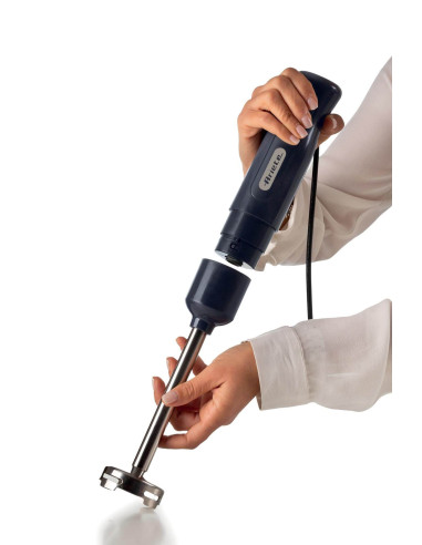 Ariete 601 Frullatore a Immersione con tritatutto, 700 W, 2 velocità, Lama in acciaio inox, Gamba removibile, Bicchiere traspar
