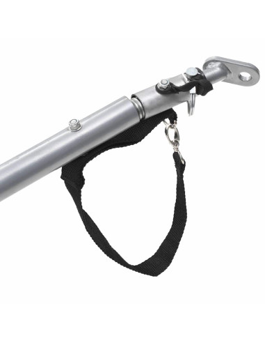 Rimorchio da Bici Nero e Giallo 65 kg