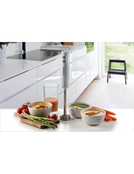 Ariete 601 Frullatore a immersione Breakfast, 700 W, 2 velocità, Lama in acciaio inox, Gamba removibile, Bicchiere trasparente,