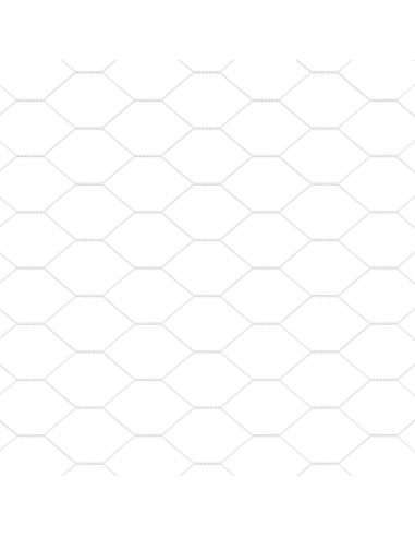 Recinzione con Posto Argento 1,2 x 10 m Acciaio