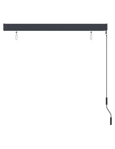 Tenda a Rullo per Esterni 140x250 cm Antracite