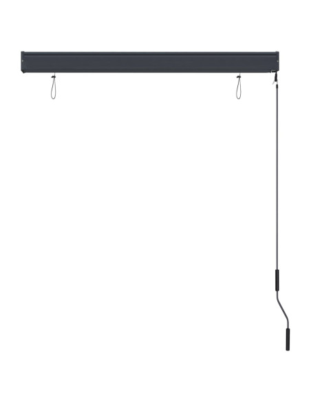 Tenda a Rullo per Esterni 120x250 cm Antracite
