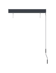 Tenda a Rullo per Esterni 100x250 cm Antracite
