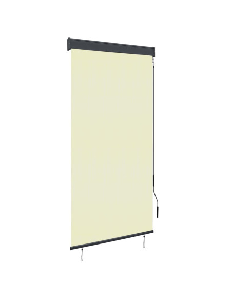 Tenda a Rullo per Esterni 100x250 cm Crema