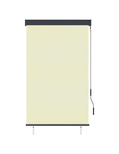 Tenda a Rullo per Esterni 100x250 cm Crema