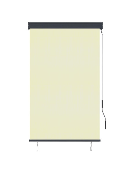 Tenda a Rullo per Esterni 100x250 cm Crema