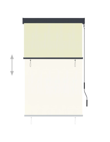 Tenda a Rullo per Esterni 100x250 cm Crema