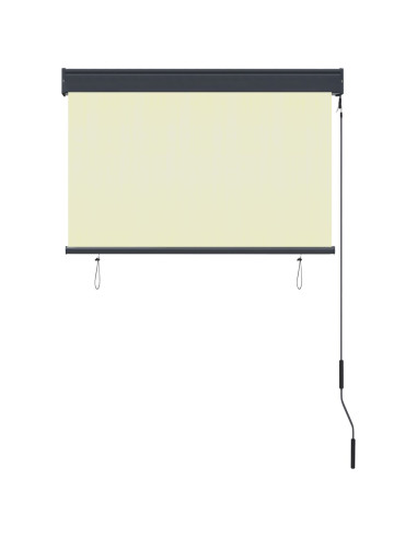 Tenda a Rullo per Esterni 100x250 cm Crema