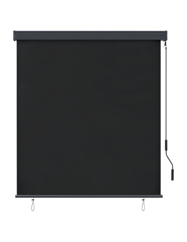 Tenda a Rullo per Esterni 140x250 cm Antracite