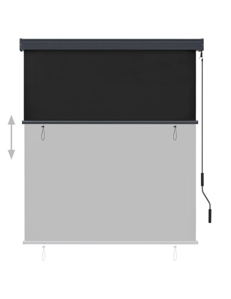 Tenda a Rullo per Esterni 140x250 cm Antracite