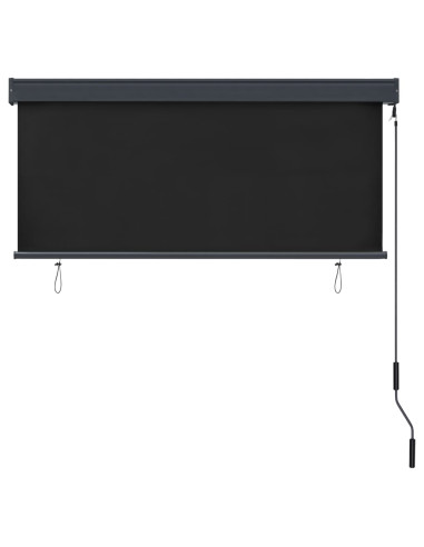 Tenda a Rullo per Esterni 140x250 cm Antracite