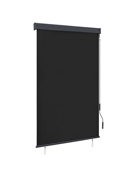 Tenda a Rullo per Esterni 120x250 cm Antracite