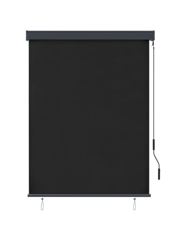 Tenda a Rullo per Esterni 120x250 cm Antracite