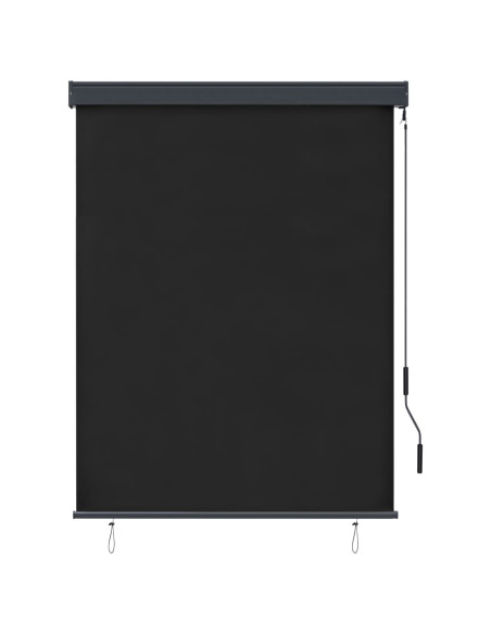 Tenda a Rullo per Esterni 120x250 cm Antracite