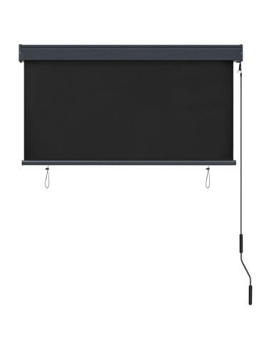 Tenda a Rullo per Esterni 120x250 cm Antracite