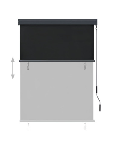 Tenda a Rullo per Esterni 120x250 cm Antracite