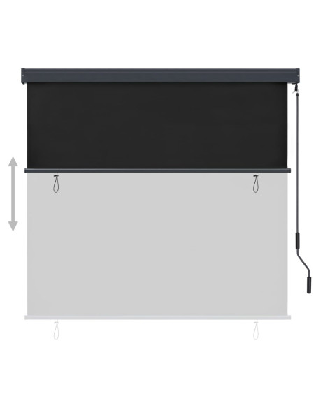 Tenda a Rullo per Esterni 170x250 cm Antracite