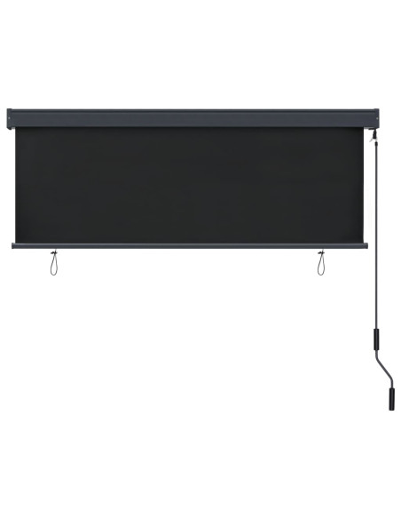 Tenda a Rullo per Esterni 170x250 cm Antracite