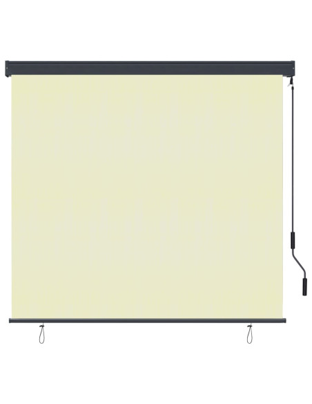 Tenda a Rullo per Esterni 160x250 cm Crema