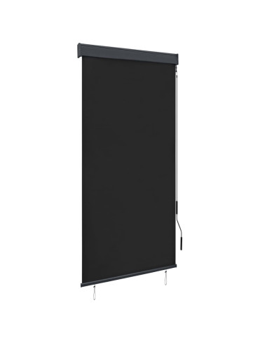 Tenda a Rullo per Esterni 100x250 cm Antracite