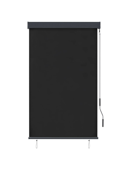 Tenda a Rullo per Esterni 100x250 cm Antracite