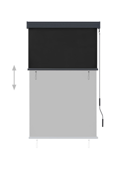 Tenda a Rullo per Esterni 100x250 cm Antracite