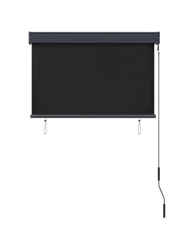 Tenda a Rullo per Esterni 100x250 cm Antracite