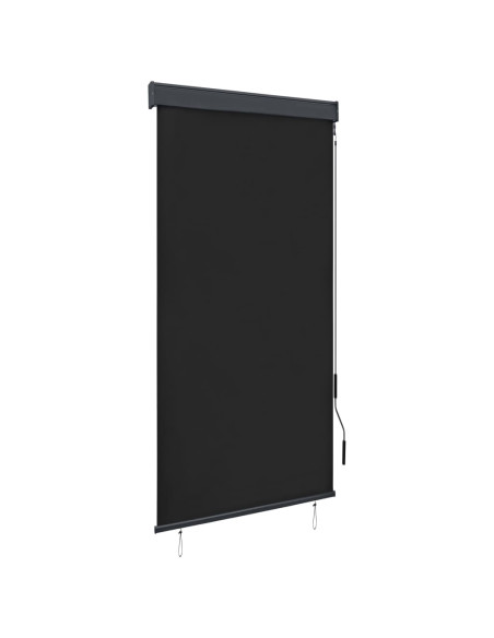 Tenda a Rullo per Esterni 80x250 cm Antracite