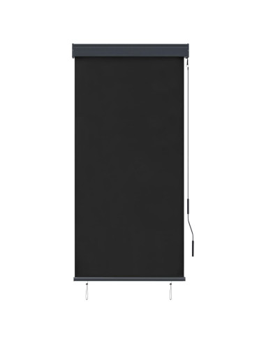 Tenda a Rullo per Esterni 80x250 cm Antracite
