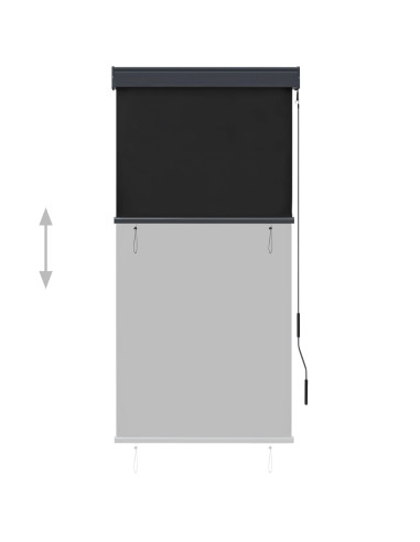 Tenda a Rullo per Esterni 80x250 cm Antracite