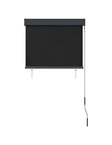 Tenda a Rullo per Esterni 80x250 cm Antracite
