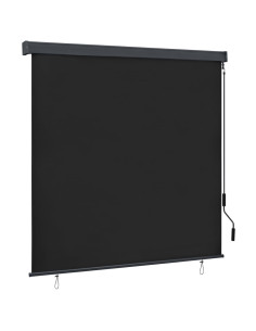Tenda a Rullo per Esterni 160x250 cm Antracite 2