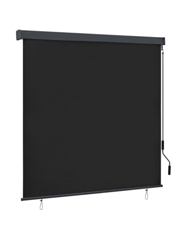 Tenda a Rullo per Esterni 160x250 cm Antracite