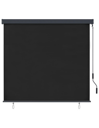 Tenda a Rullo per Esterni 160x250 cm Antracite