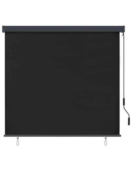 Tenda a Rullo per Esterni 160x250 cm Antracite