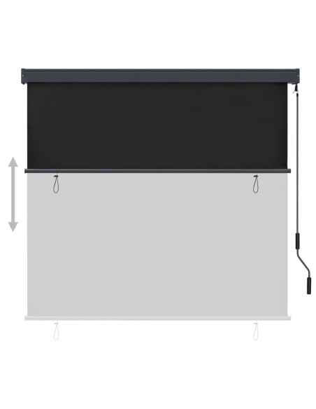 Tenda a Rullo per Esterni 160x250 cm Antracite