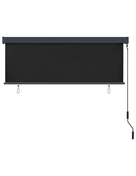 Tenda a Rullo per Esterni 160x250 cm Antracite