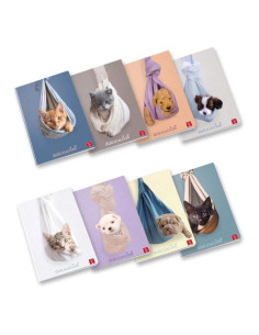 CF10 CUCCIOLI A4 80GR R.1R FF20 ASS