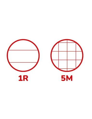 CF5 SPIRALE FLUO A4 80GR R.5M FF36