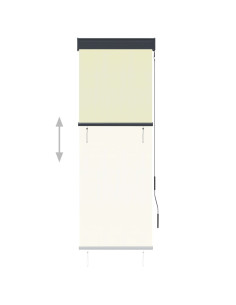 Tenda a Rullo per Esterni 60x250 cm Crema 2