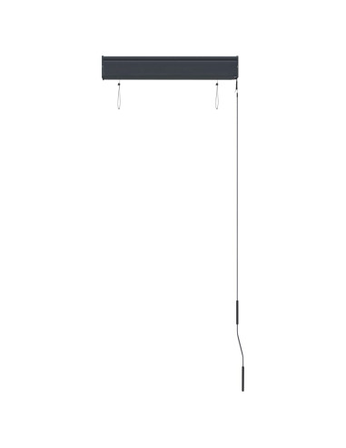 Tenda a Rullo per Esterni 60x250 cm Crema