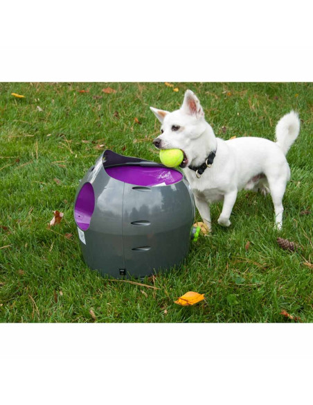 PetSafe Lanciapalline Automatico 9 m Grigio e Viola
