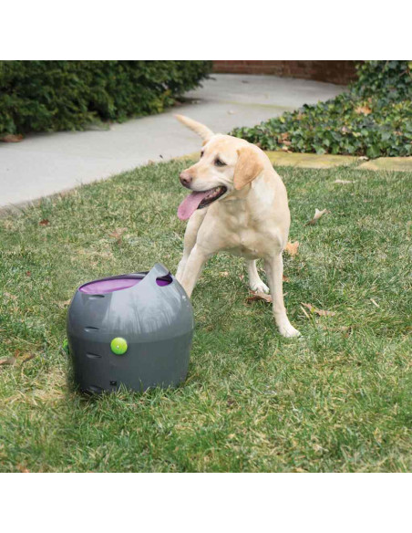 PetSafe Lanciapalline Automatico 9 m Grigio e Viola