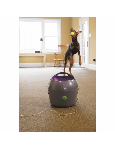 PetSafe Lanciapalline Automatico 9 m Grigio e Viola