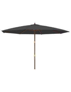 Ombrellone da Giardino con Palo in Legno Nero 400x273 cm