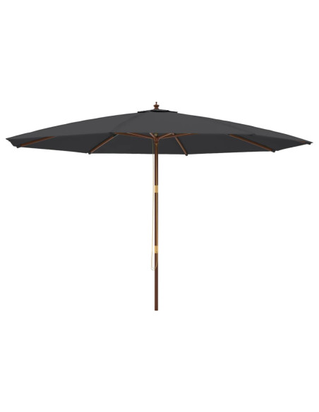 Ombrellone da Giardino con Palo in Legno Nero 400x273 cm