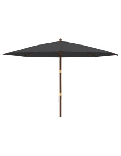 Ombrellone da Giardino con Palo in Legno Nero 400x273 cm 2