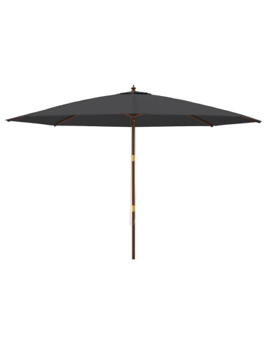 Ombrellone da Giardino con Palo in Legno Nero 400x273 cm