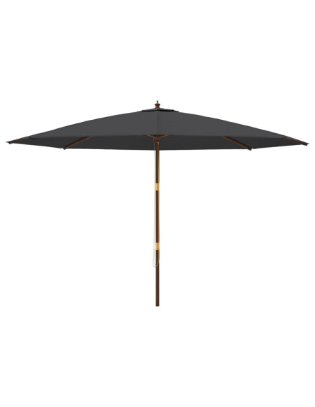 Ombrellone da Giardino con Palo in Legno Nero 400x273 cm