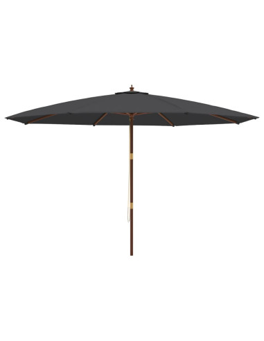 Ombrellone da Giardino con Palo in Legno Nero 400x273 cm